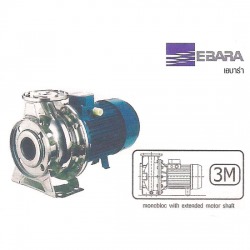Pump Ebara1