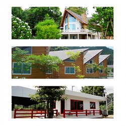 บ้านซุงคอนกรีต