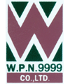 W P N 9999 Co Ltd
