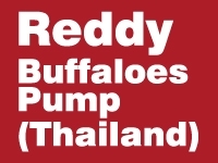 Reddy Buffaloes Pump (Thailand) Ltd