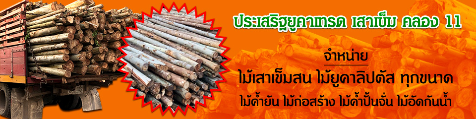 เสาเข็มไม้ยูคา ประเสริฐยูคาเทรด