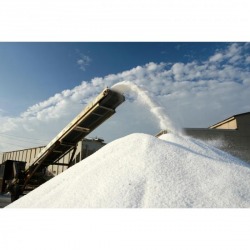 Salt Conveyor