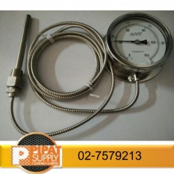 Pressure Gauge and Themometers