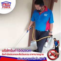 บริษัทรับกำจัดมด แมลงสาบและหนู ศรีราชา พัทยา สัตหีบ