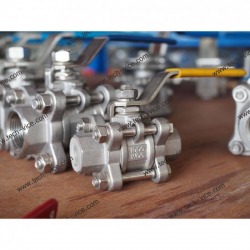 Rayong Industrial Valve