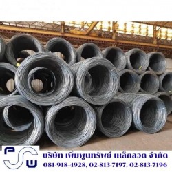 Steel Wire Mills