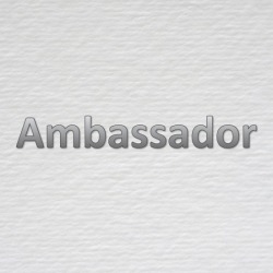 Ambassador