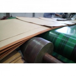 Manufacture of paper bags in the industry