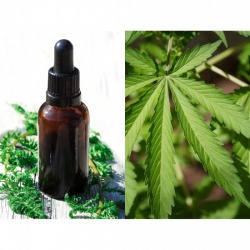 Fragrance oil inspired by Cannabis