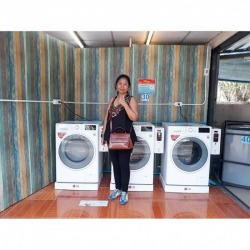 Coin washing machine Share percentage Rayong