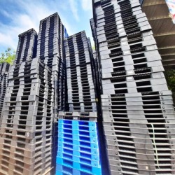 Buy plastic pallets Rayong