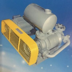 Rotary vane vacuum pumps