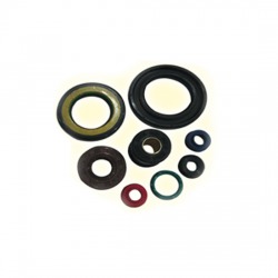  Oil seal factory