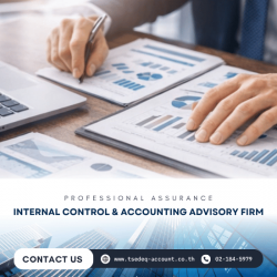 บริษัทรับทำ internal audit