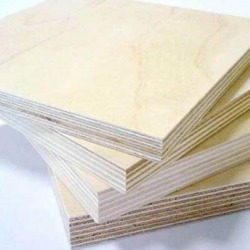 Birch Plywood Bang Pho