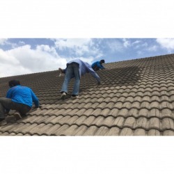 Roof repair contractor