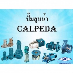 Calpeda water pump