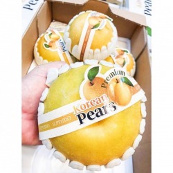 Korean Pears