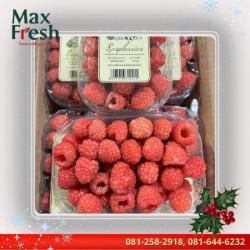 ผลไม้นำเข้า ตลาดไท