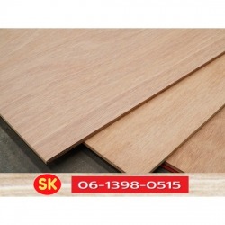 Furniture rubber plywood wholesale price