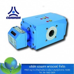 CGT-02 turbine gas meters 
