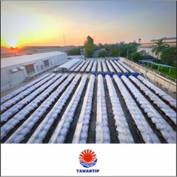 soybean paste factory