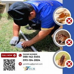 กำจัดปลวกระบบวางเหยื่อ