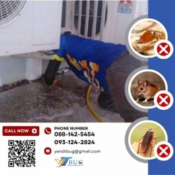 กำจัดปลวก ราคาเท่าไหร่