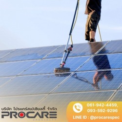 Solar panel cleaning service