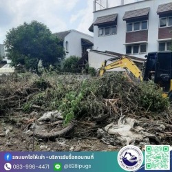 รับจ้างขนกิ่งไม้