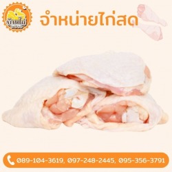 ขายส่งเนื้อไก่