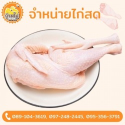 โรงงานผลิตเนื้อไก่