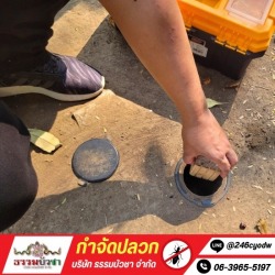 กำจัดปลวกนครปฐม