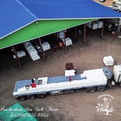 เกลืออุตสาหกรรมคุณภาพ ราคาขายส่ง