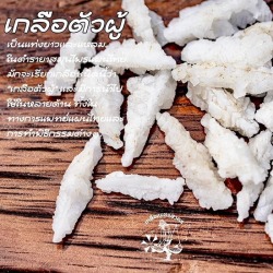 ขายส่งเกลือตัวผู้แท้ เกลือมงคล