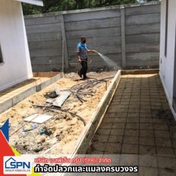 บริการกำจัดปลวก