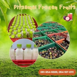 Wholesale ready-to-drink mangosteen juice