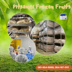 โรงงานรับฝากแช่ผลไม้