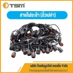 สายไฟระย้า (ขั้วเปล่า) พระราม 2