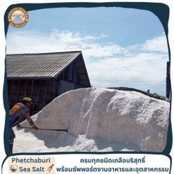 ผลิตและขายส่งเกลือทะเลแท้ ราคาถูก