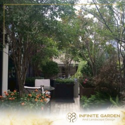 รับจัดสวน