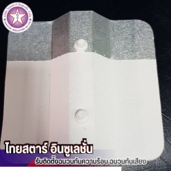พ่นเซรามิคหลังคา