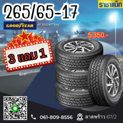 215/55-18 , 225/50R18 , 235/50R18 225/40R18 , 235/45R18