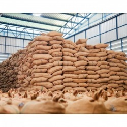 Cashew nut factory