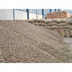 Wholesale cashews