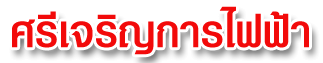 electrical equipment store and water supply equipment, wholesale price, Rayong, Sri Charoen Electricity