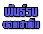 พันธ์รบ ตอกเสาเข็ม