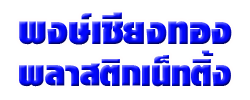 พงษ์เชียงทอง พลาสติกเน็ทติ้ง