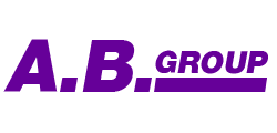 A B Group Accounting Business Co Ltd