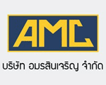 AMC Power Tools Co Ltd